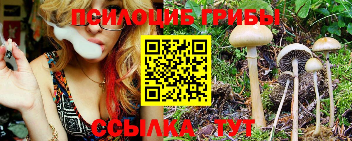 Галлюциногенные грибы ЛСД Казань